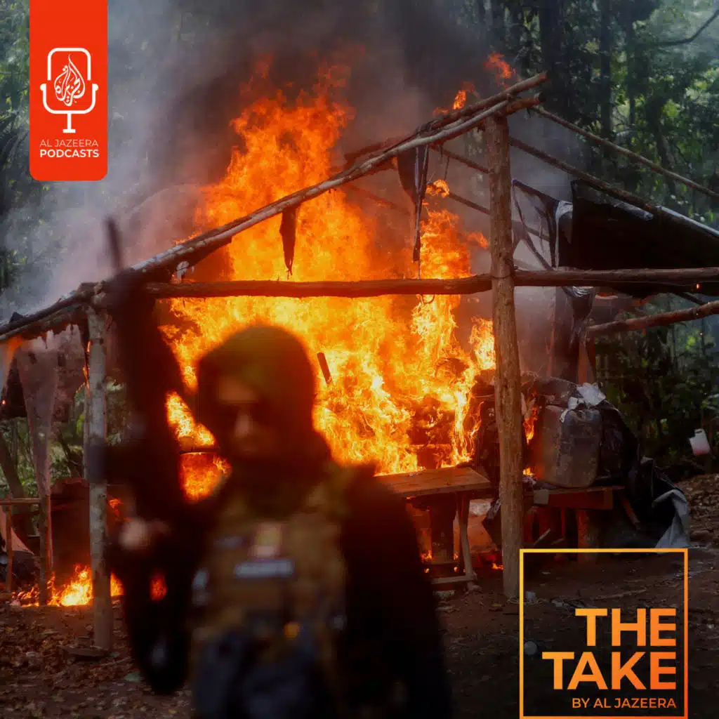 How did Lula da Silva cut Amazon deforestation in half?