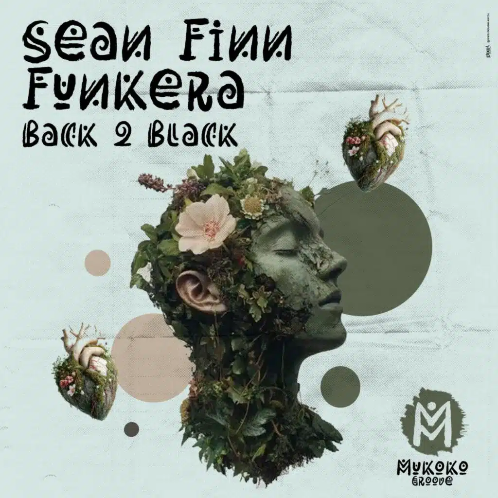 Sean Finn & Funkera