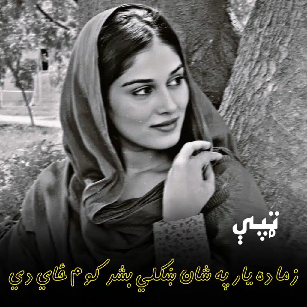 زما ده یار په شان ښکلي بشر کوم ځاي دي  || Zma da yar pa shan shkuli bashar kom zay de || ټپي
