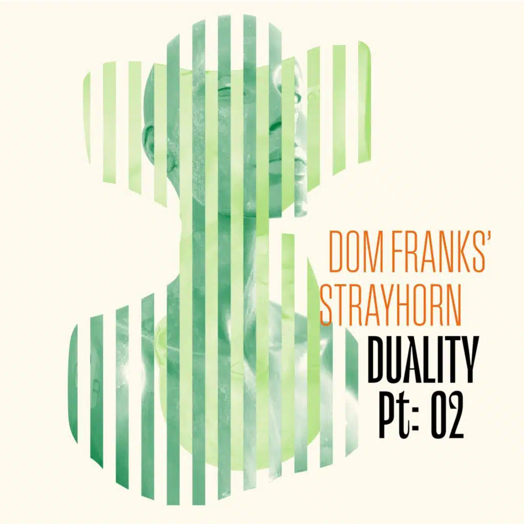 Dom Franks' StrayHorn