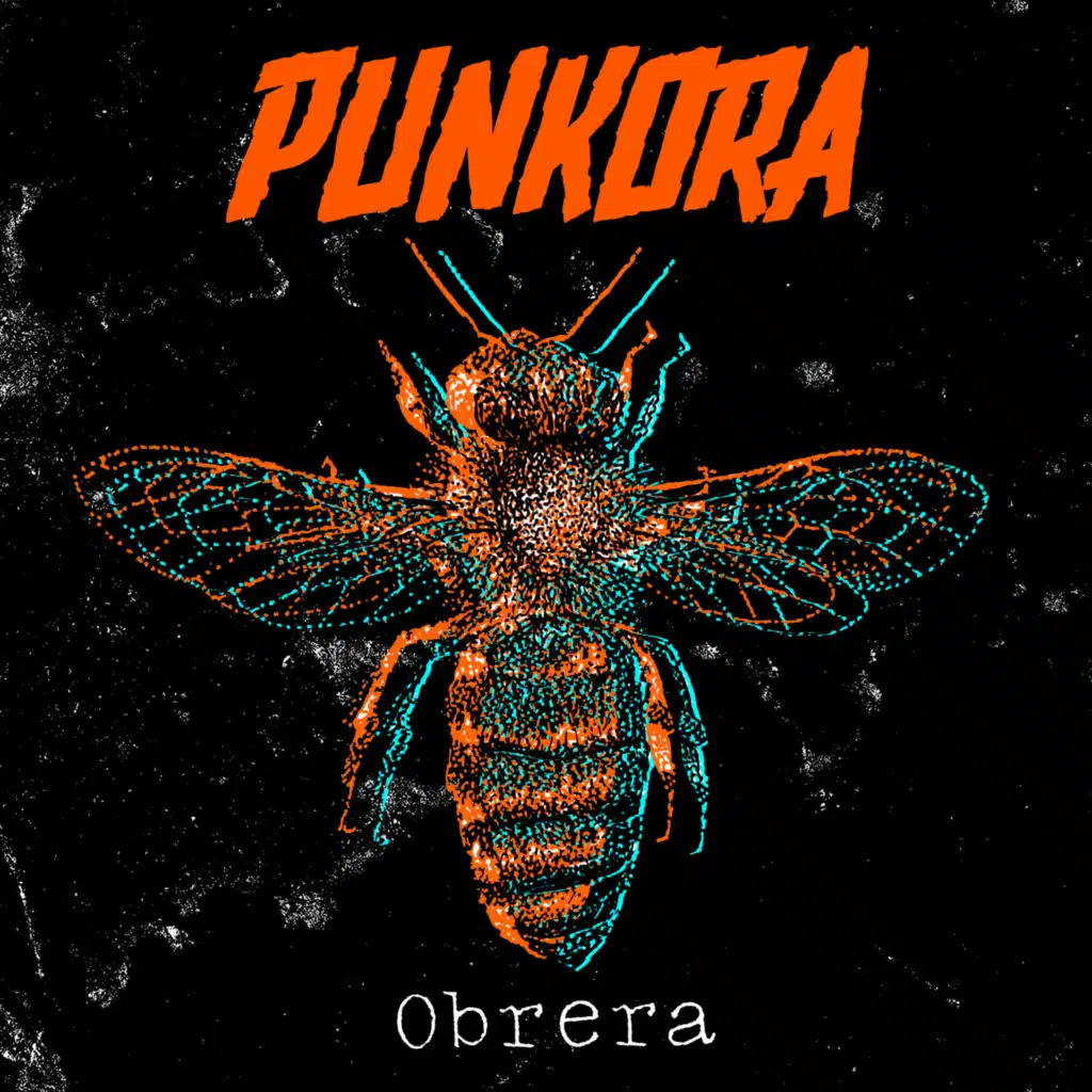 Punkora