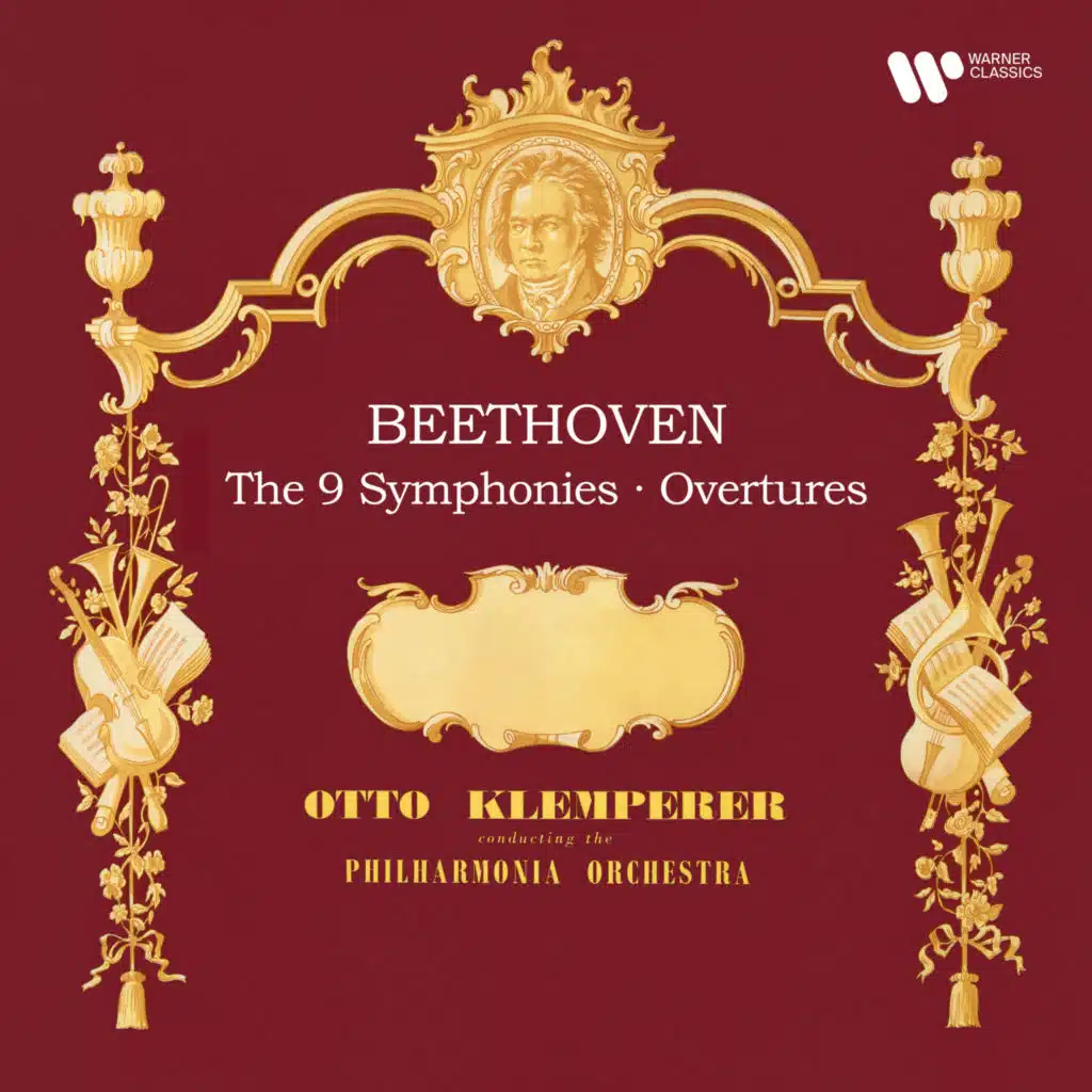 Symphony No. 9 in D Minor, Op. 125 "Choral": IV. (a) Presto - Allegro assai