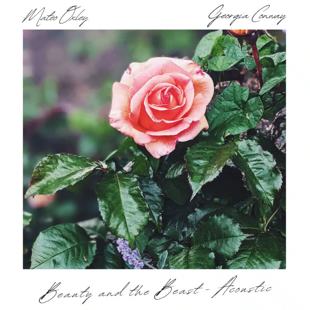 Beauty and the Beast (Acoustic)