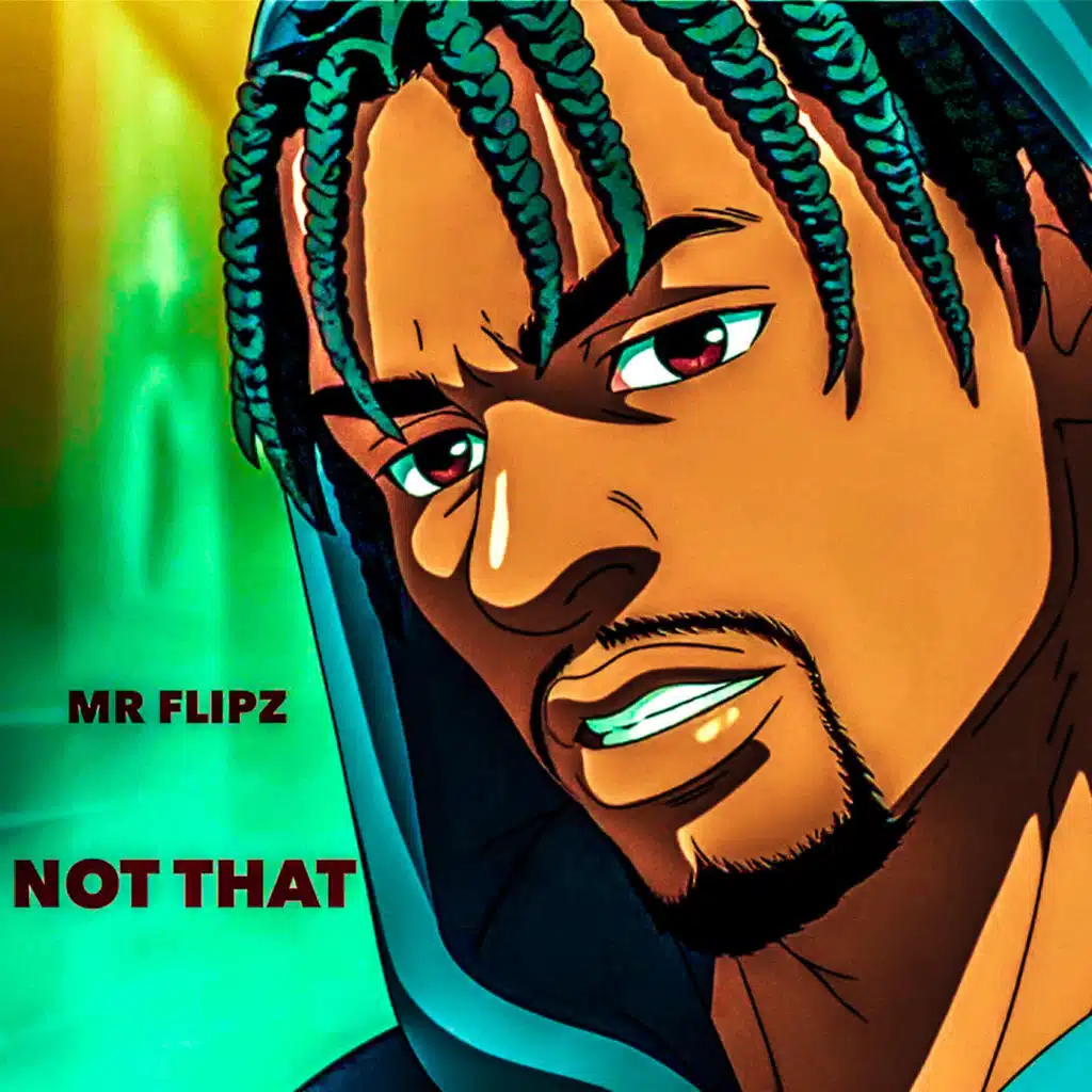MR FLIPZ
