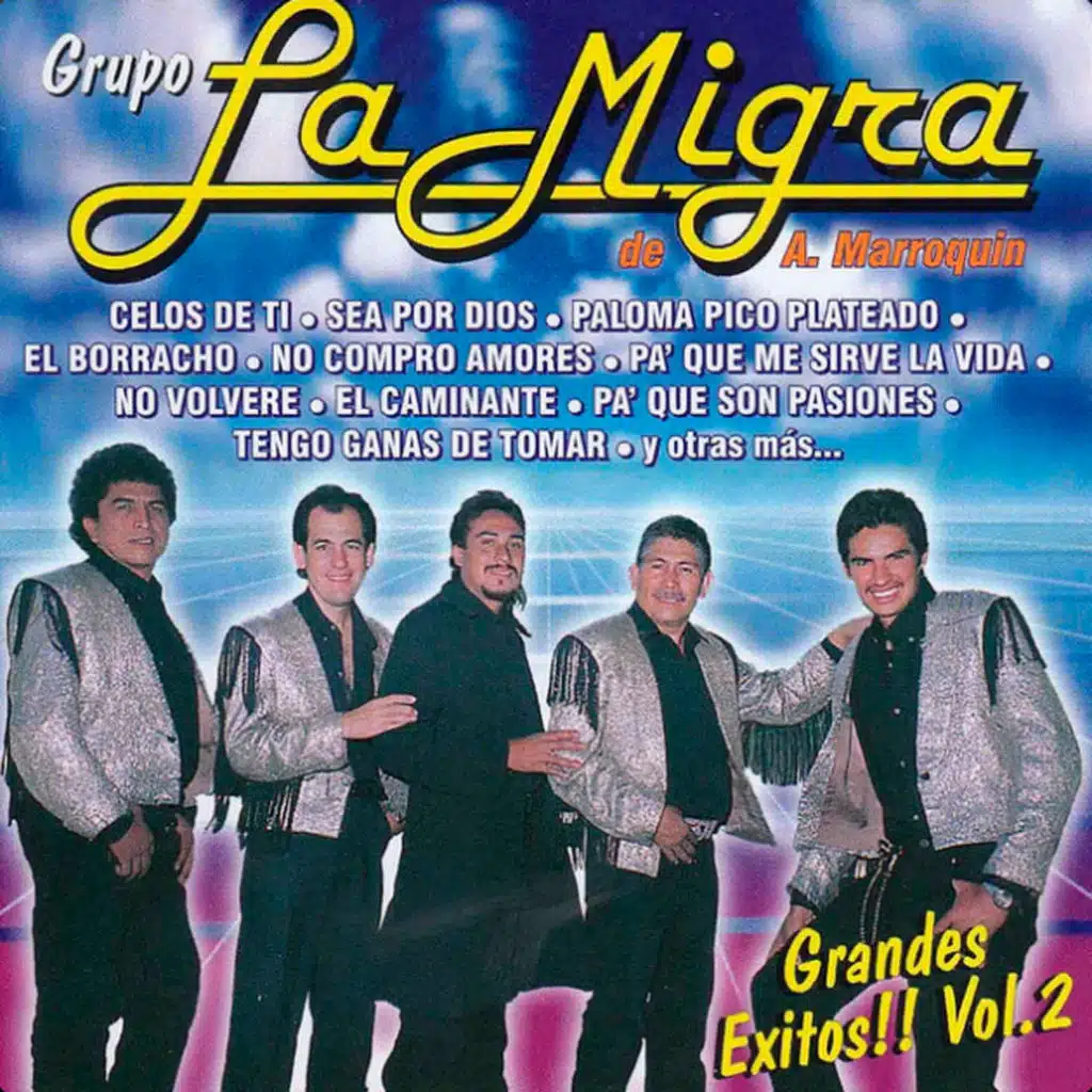 Grandes Exitos!! Vol.2