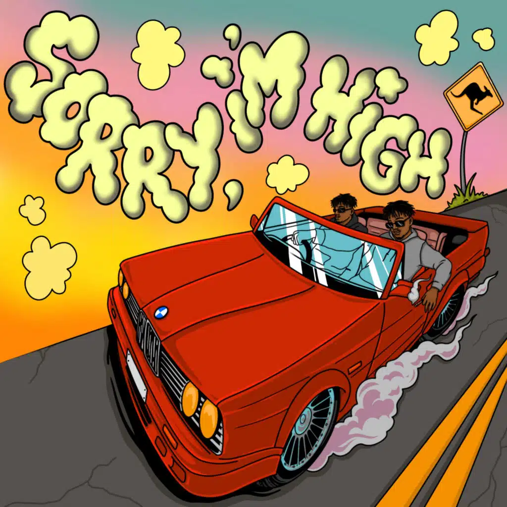 Sorry I'm High