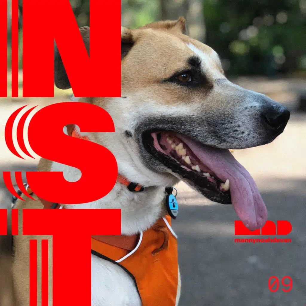 Are suburban dogs happier than city dogs?