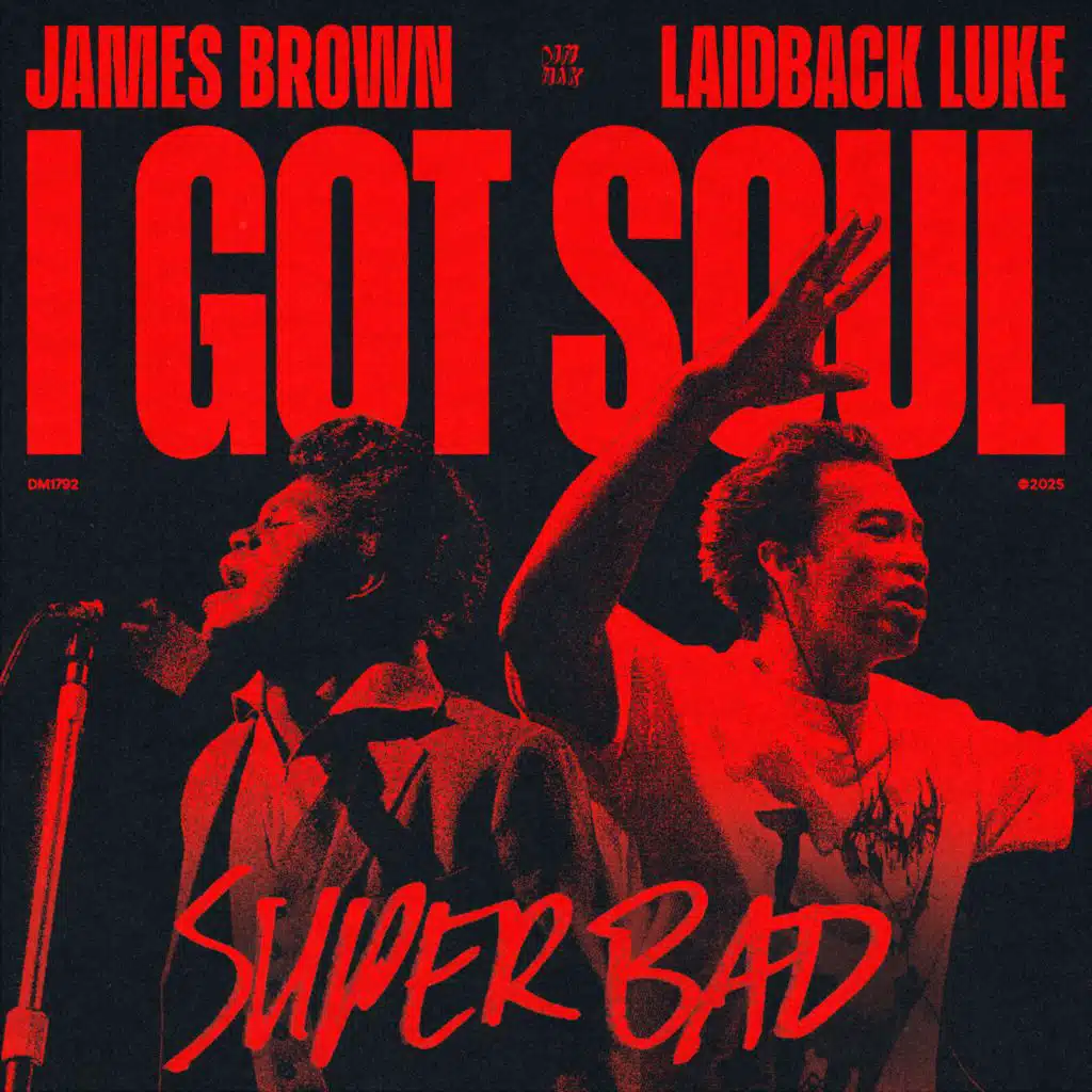 James Brown & Laidback Luke