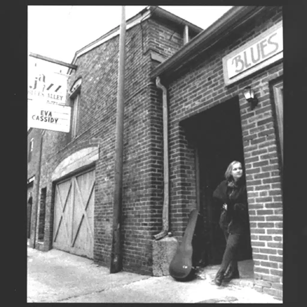 Blue Skies (Live At Blues Alley)