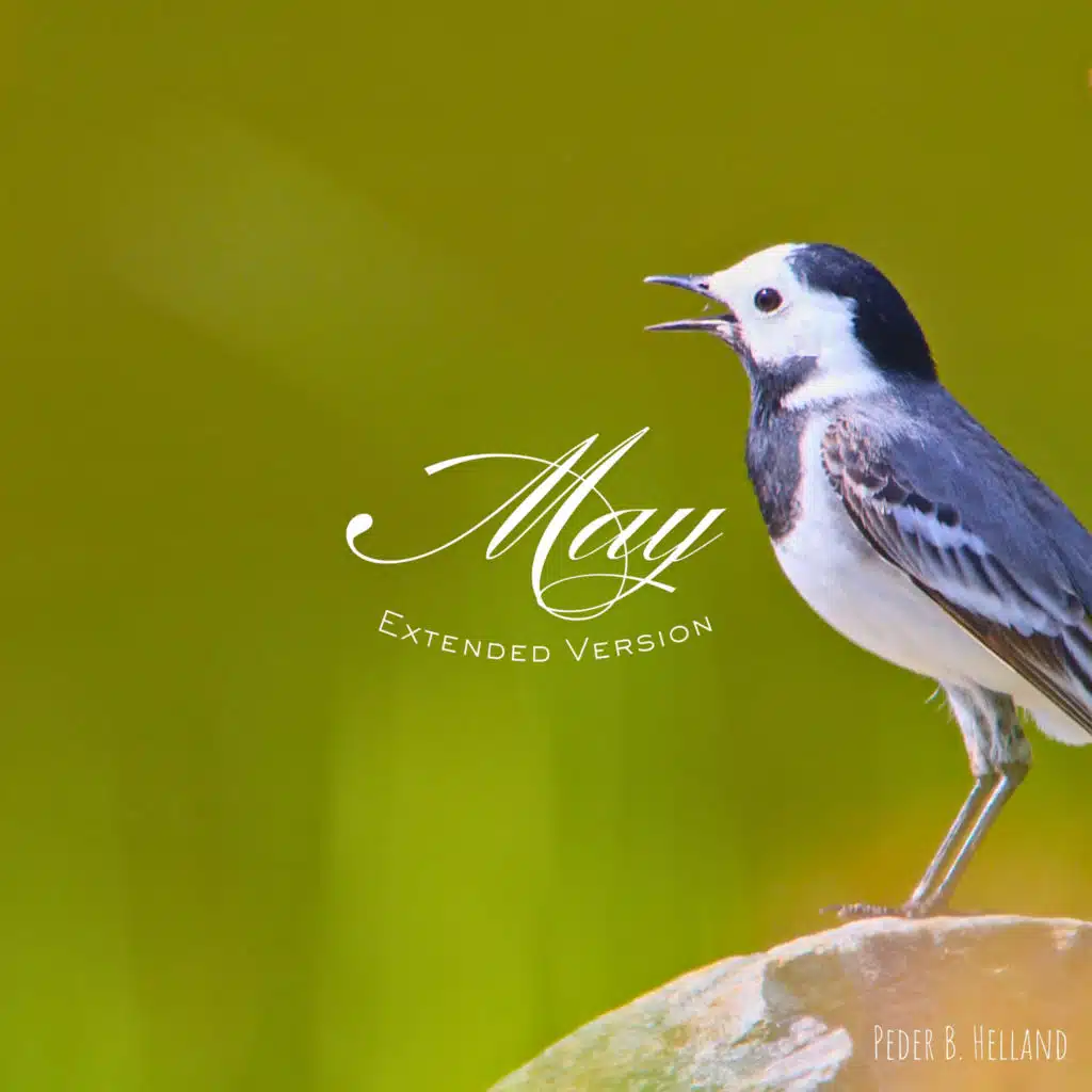 May (Extended Version)