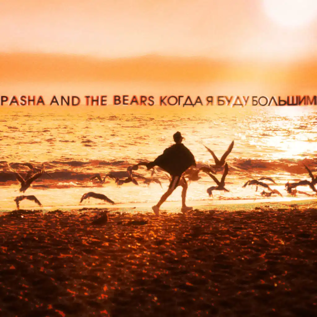 Pasha & the Bears
