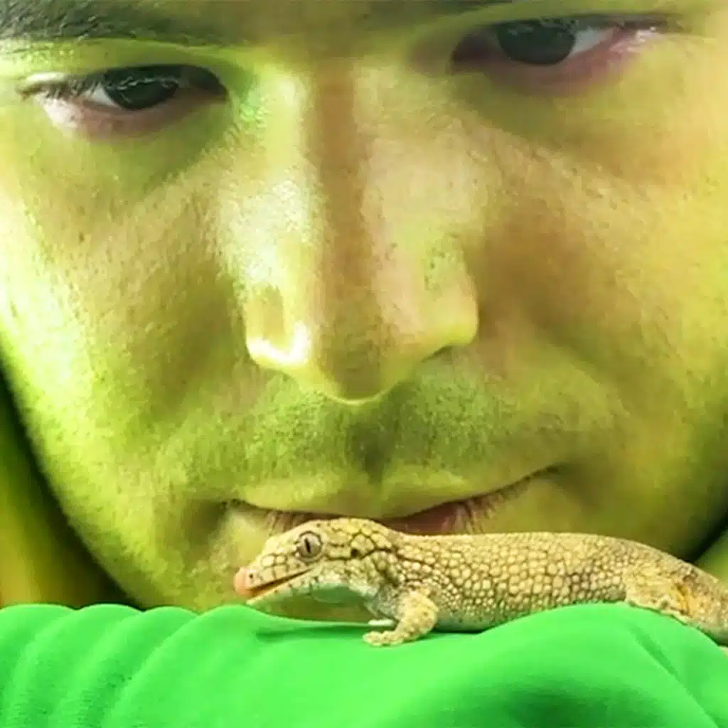 is it better to be a human or a lizard?