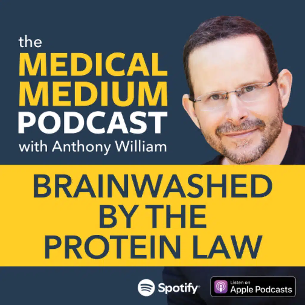 113 Brainwashed By The Protein Law