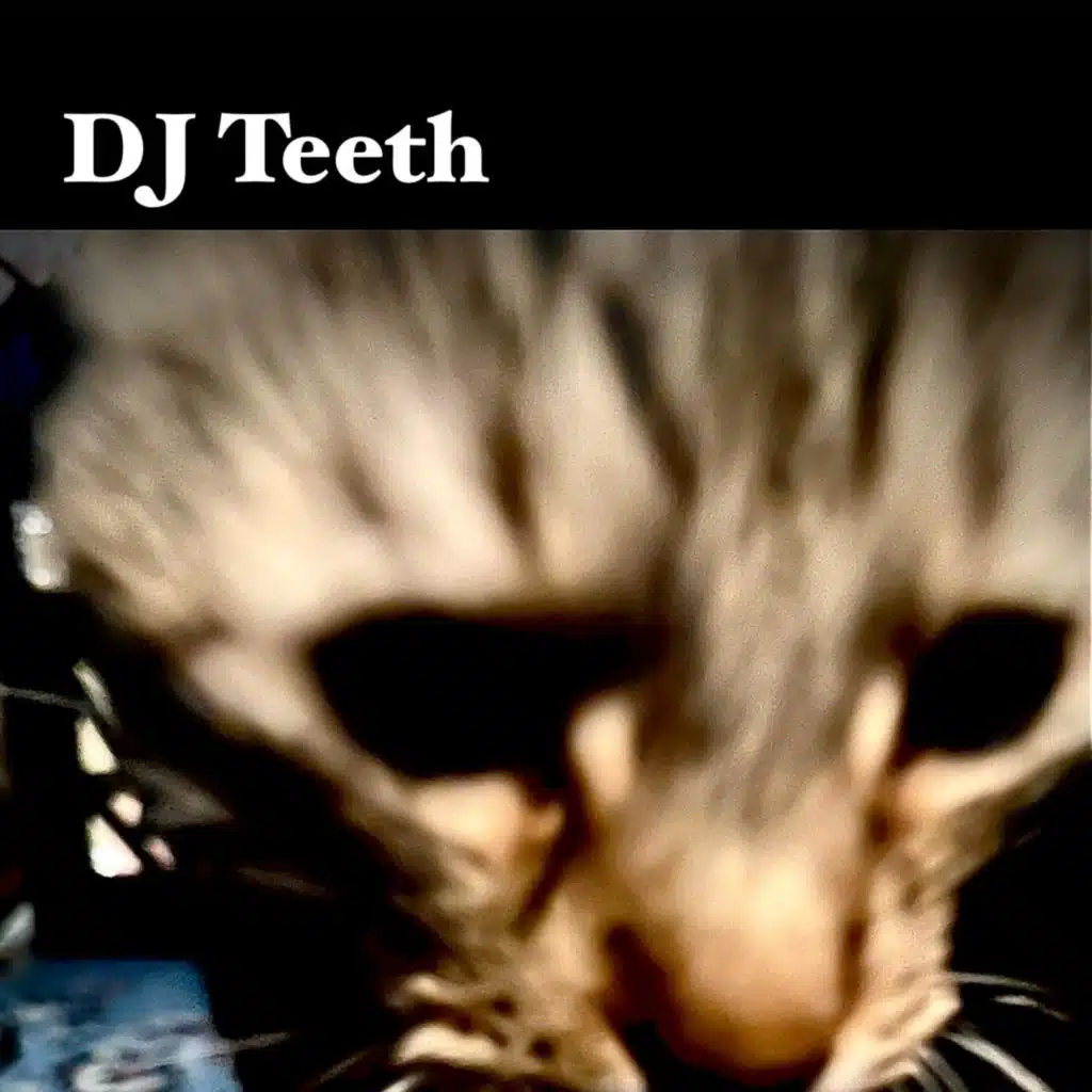 DJ Teeth