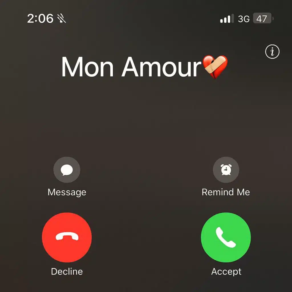 Mon Amour (feat. Radwan)