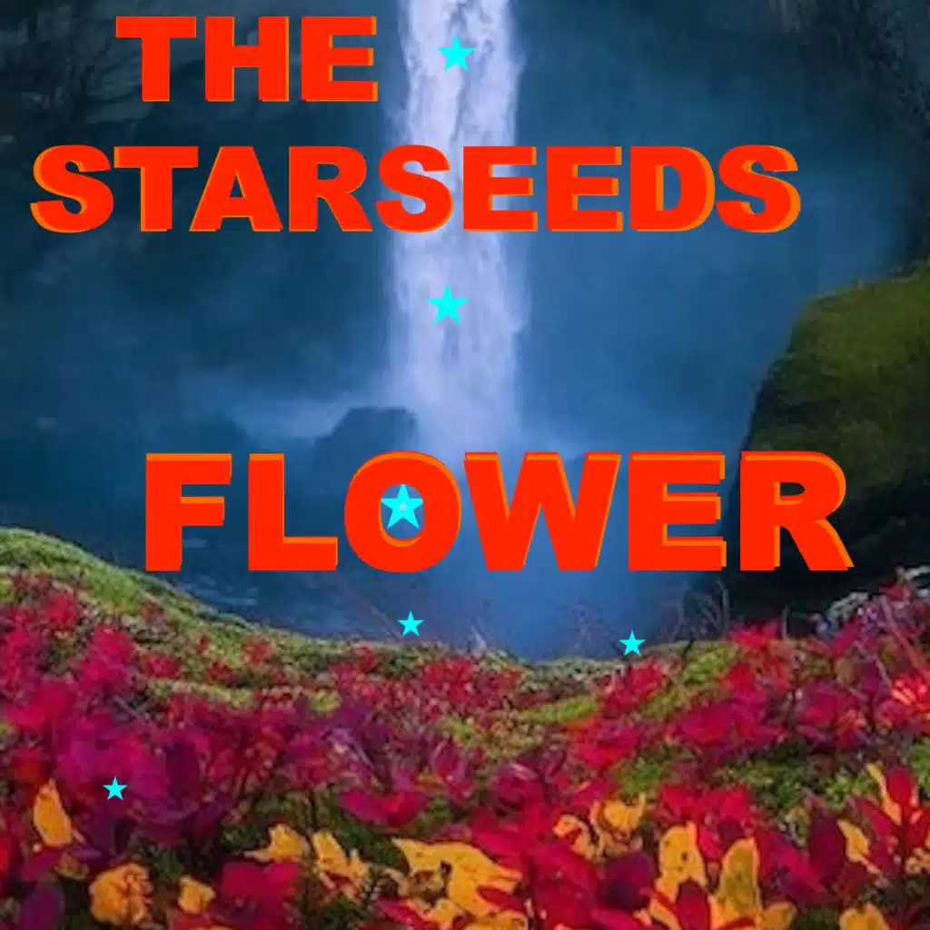 The Starseeds