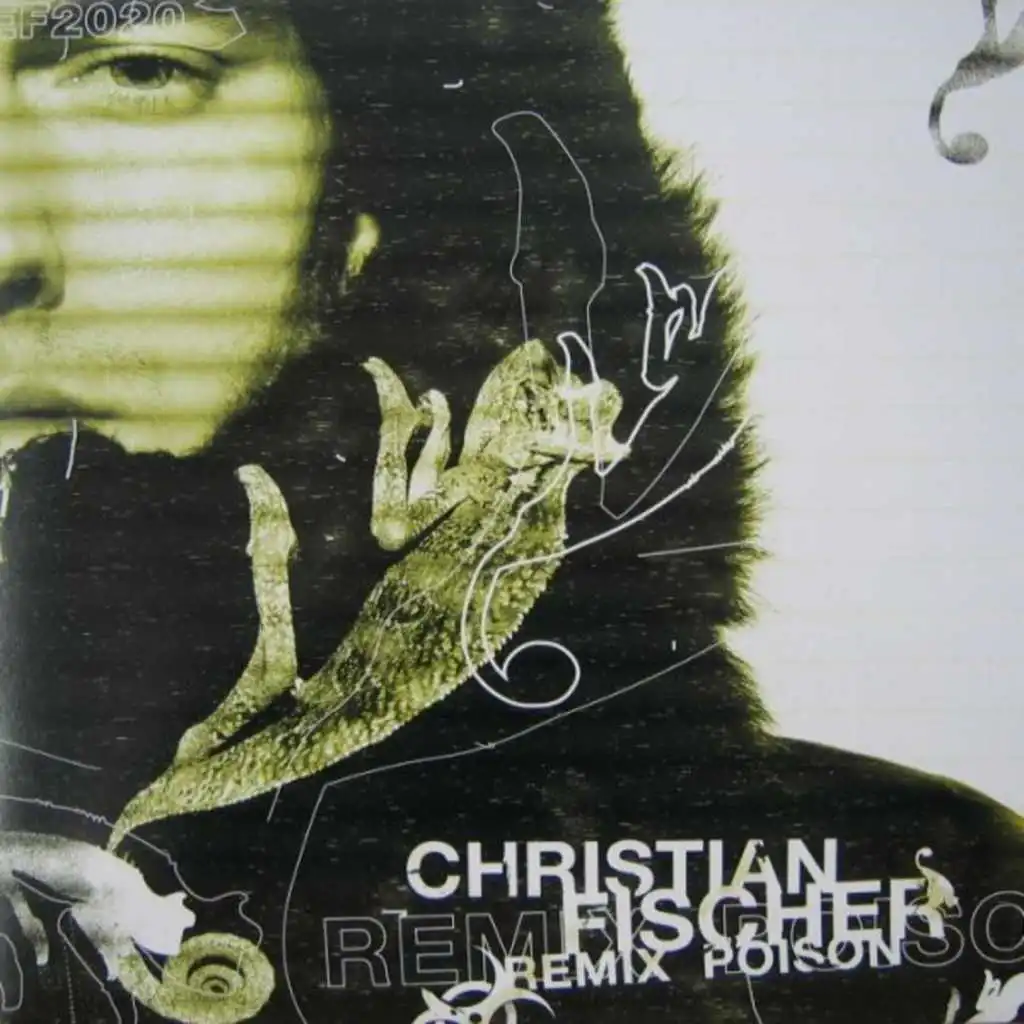 Torn Asunder (Christian Fischer Remix)