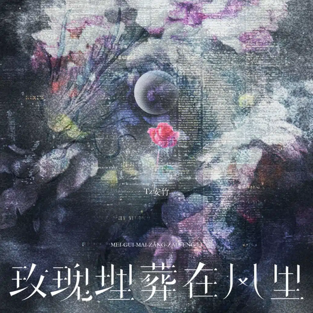 玫瑰埋葬在风里
