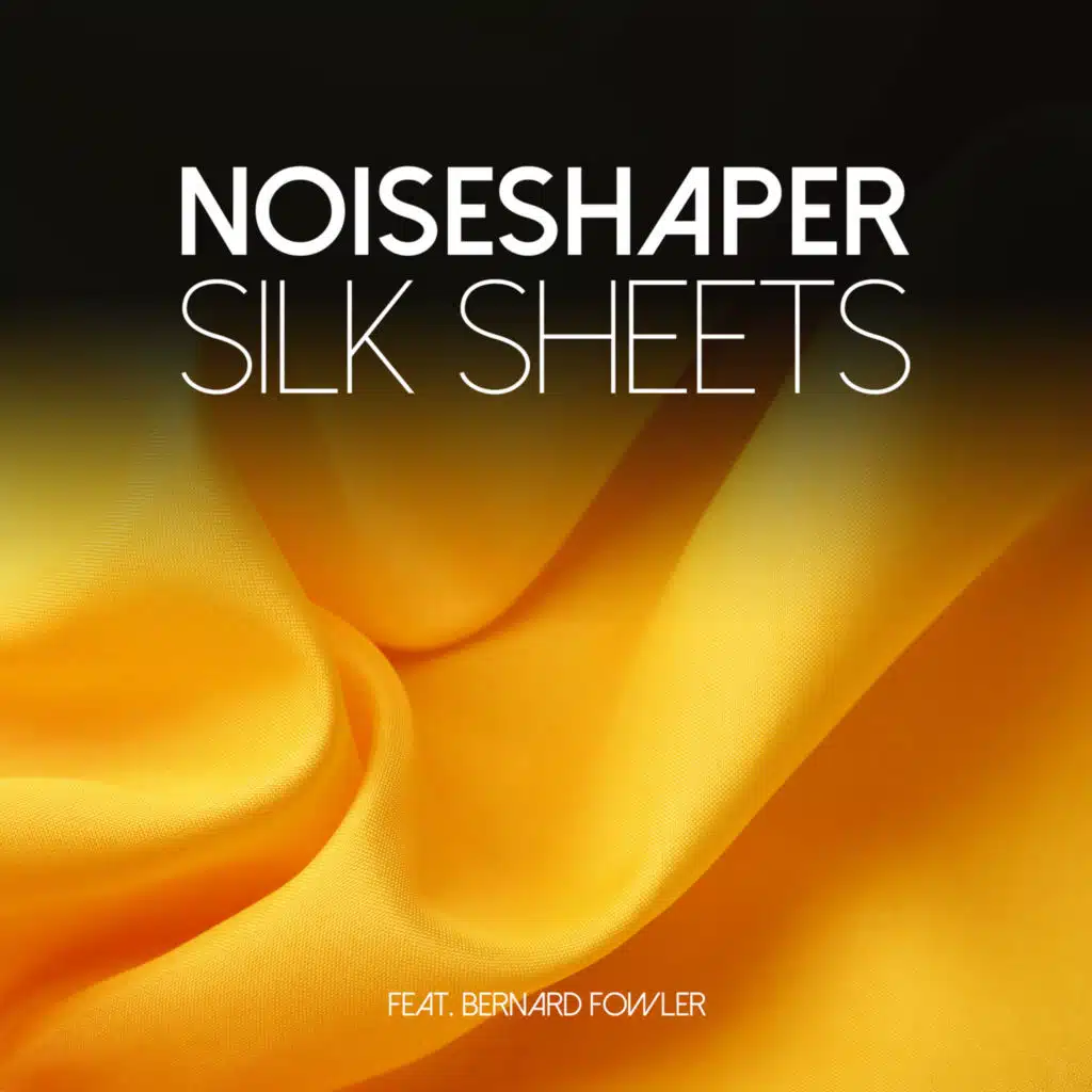 Noiseshaper