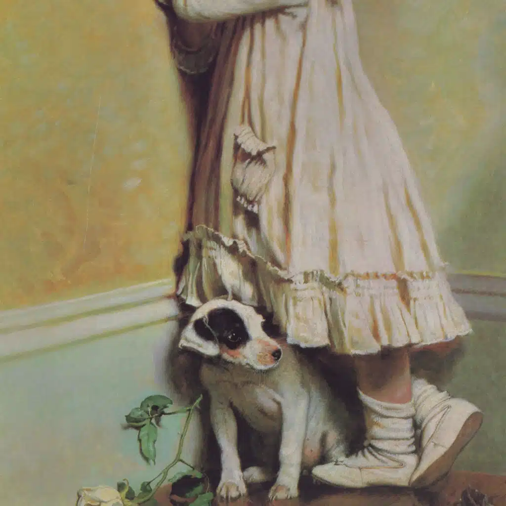 The Reds, Pinks and Purples