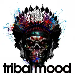 Tribe Fly (North Mix)