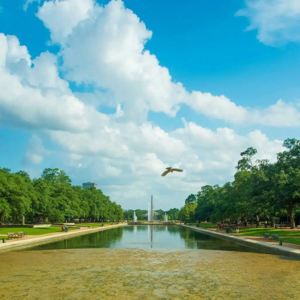 Your Guide to September 2025 in Houston