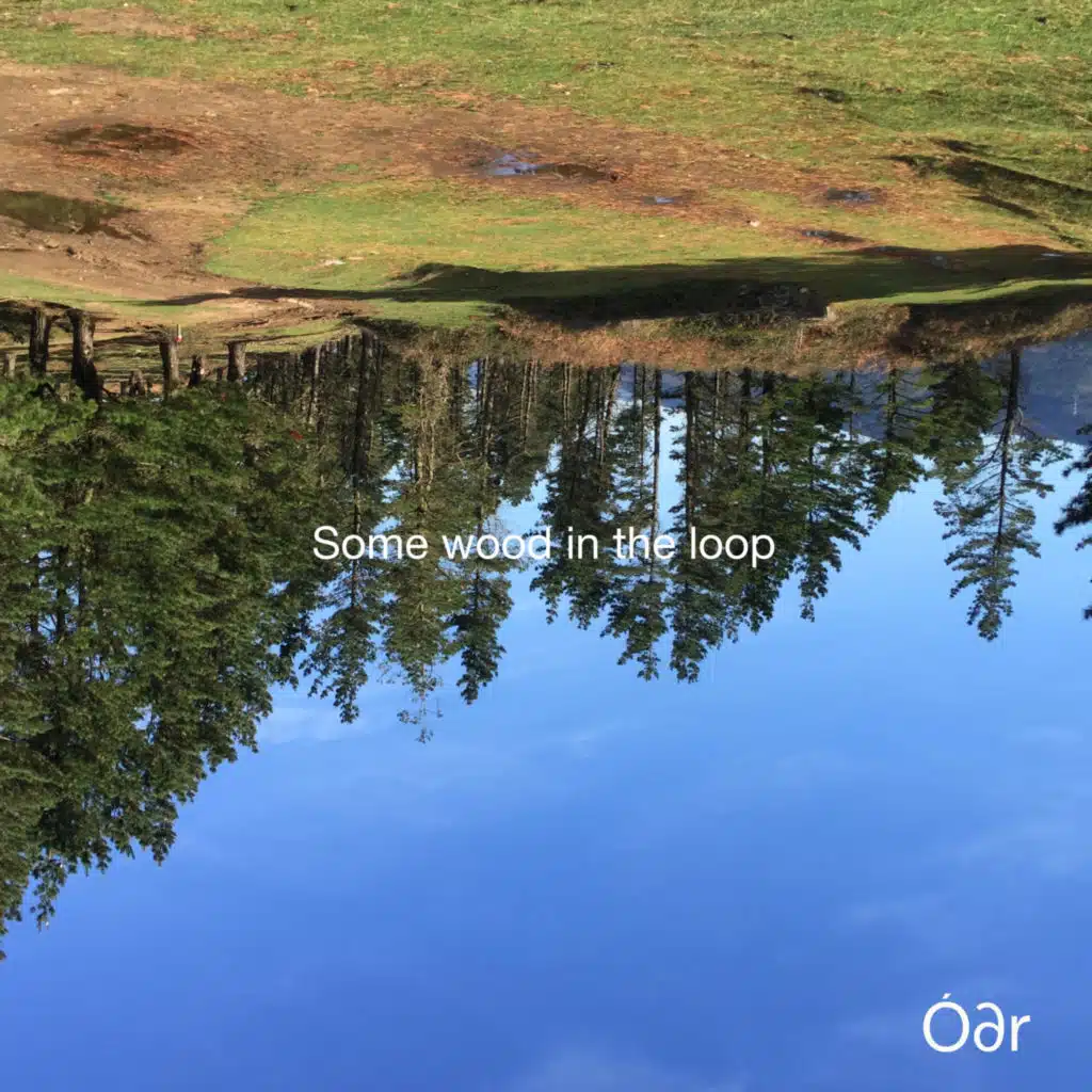 Some wood in the loop