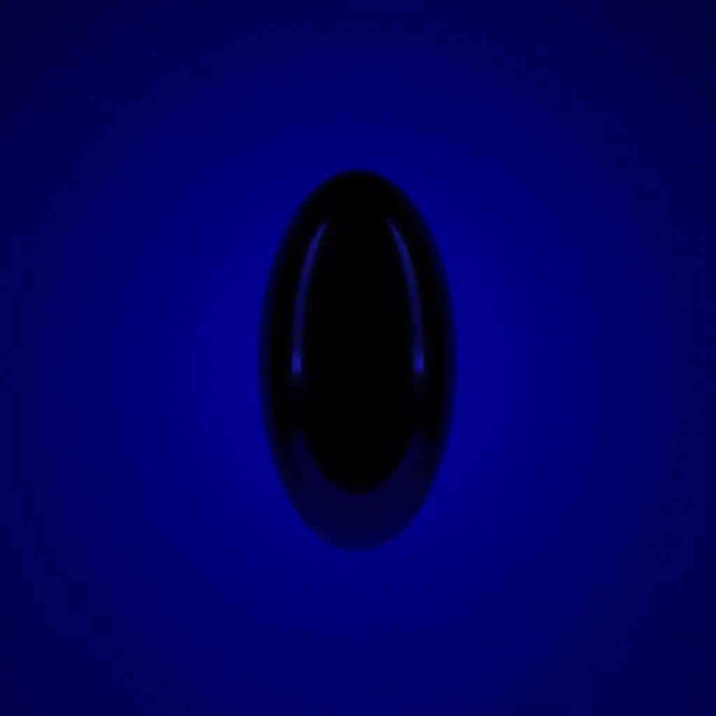 Niño de Elche & Raül Refree