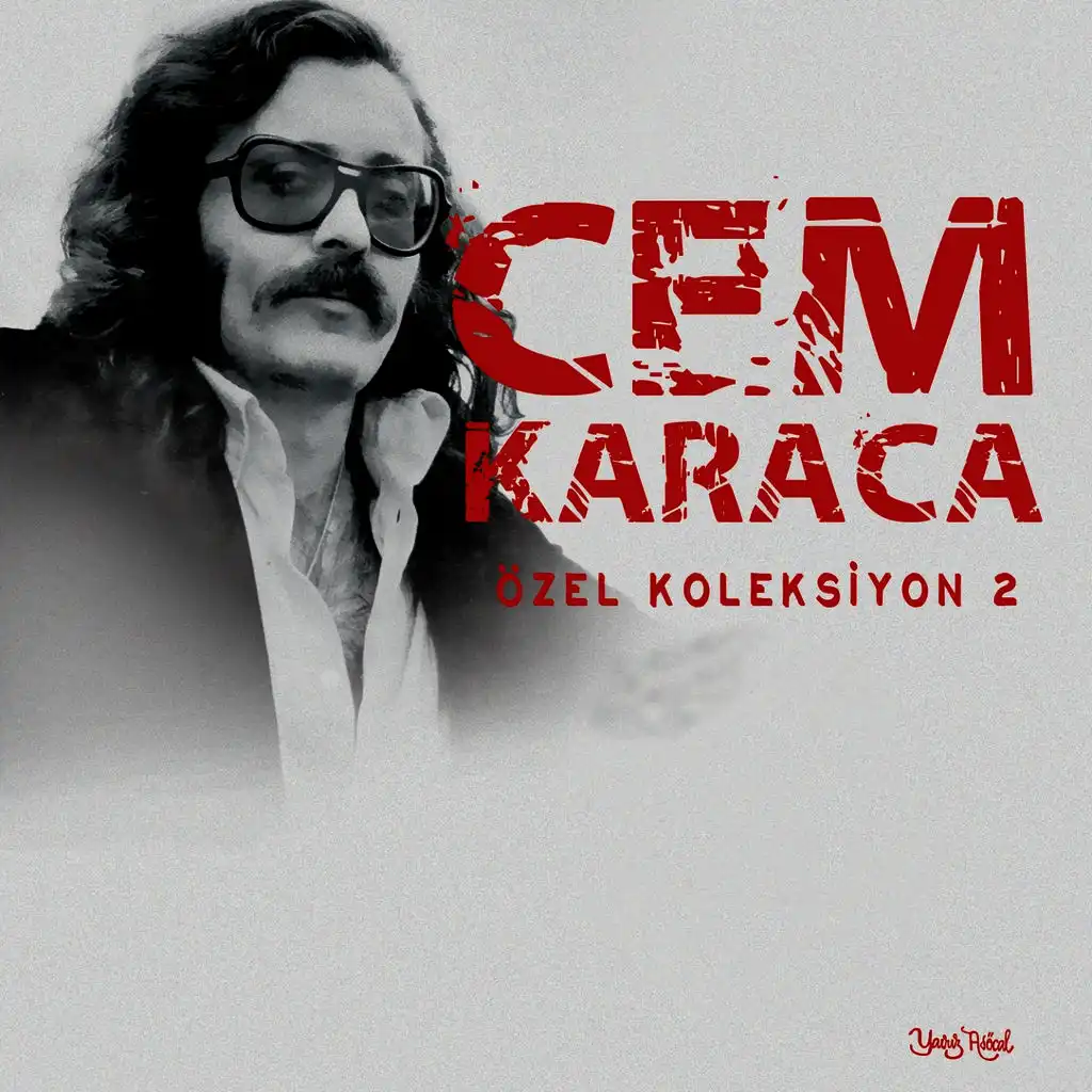 Özel Koleksiyon, Vol. 2