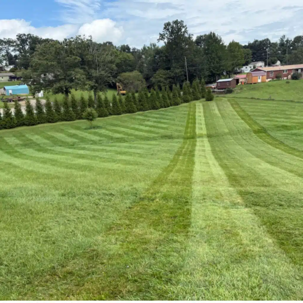 You guys Chimed in! early morning update! equip thoughts? 