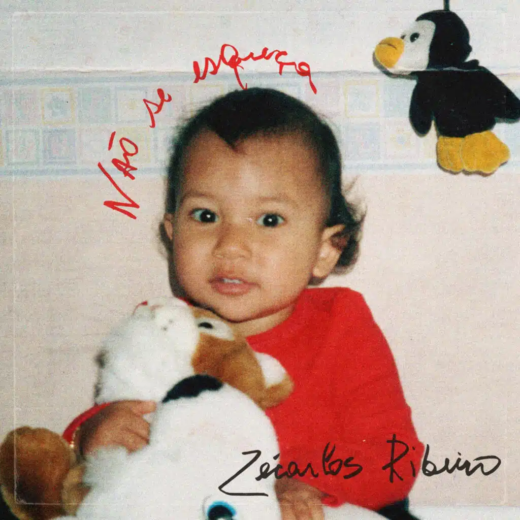 Não Se Esqueça (feat. Ná Ozzetti)