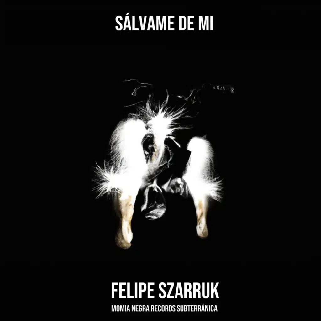 Felipe Szarruk