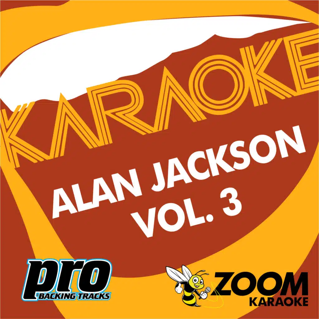 Zoom Karaoke - Alan Jackson Collection Vol. 3 (Karaoke Versions)
