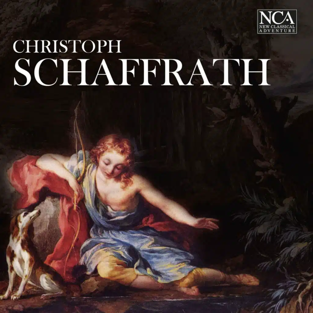 Sinfonia in G Minor, CSWV B:10: No. 1, Allegro non tanto