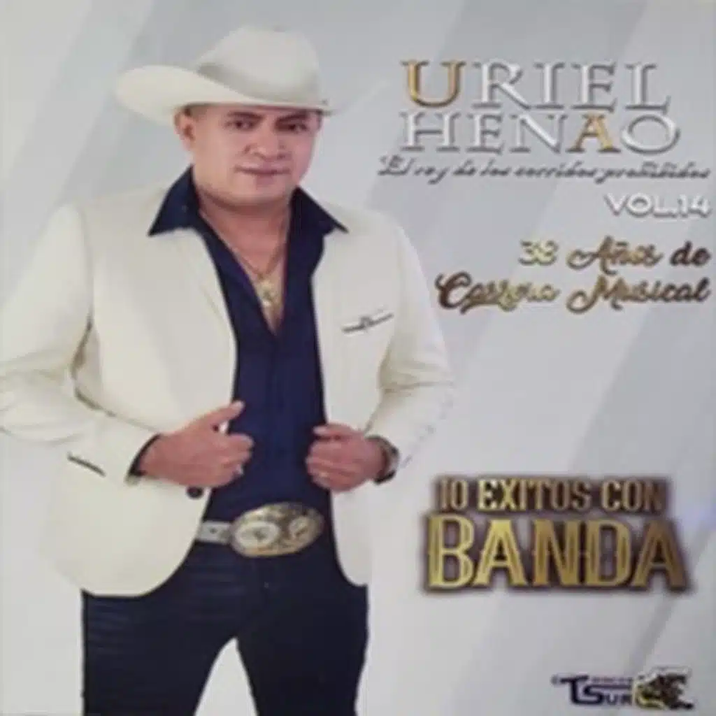 10 Éxitos Con Banda, Vol. 14