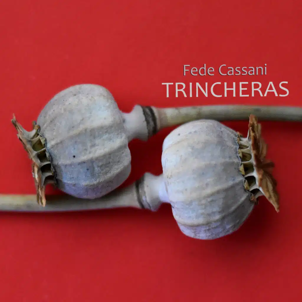 Fede Cassani