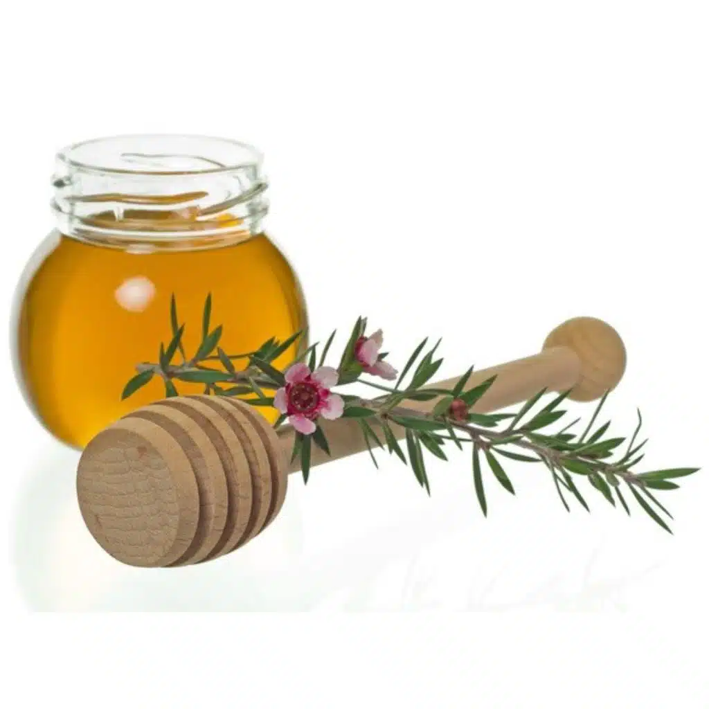 SLP 511: Self Love Quicky - Herbs, Spices & Self Love