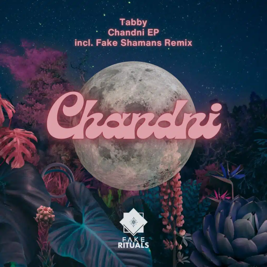 Chandni (Fake Shamans Remix)