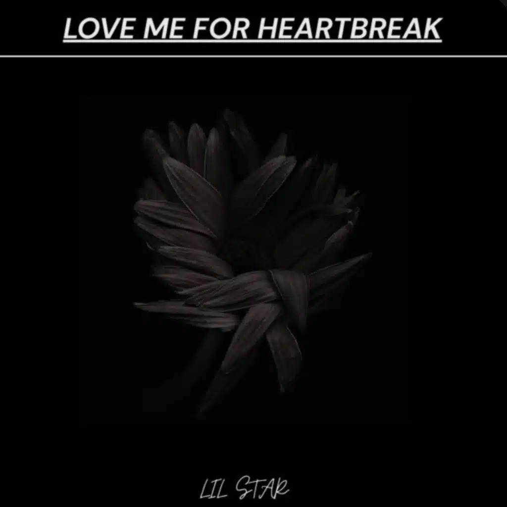 Love Me For Heartbreak