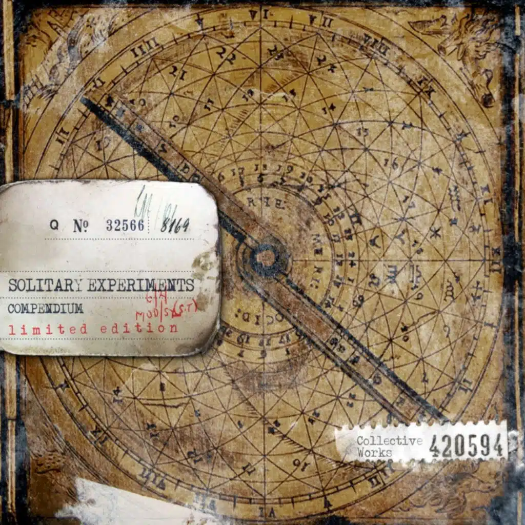 Delight (feat. André Hartung)