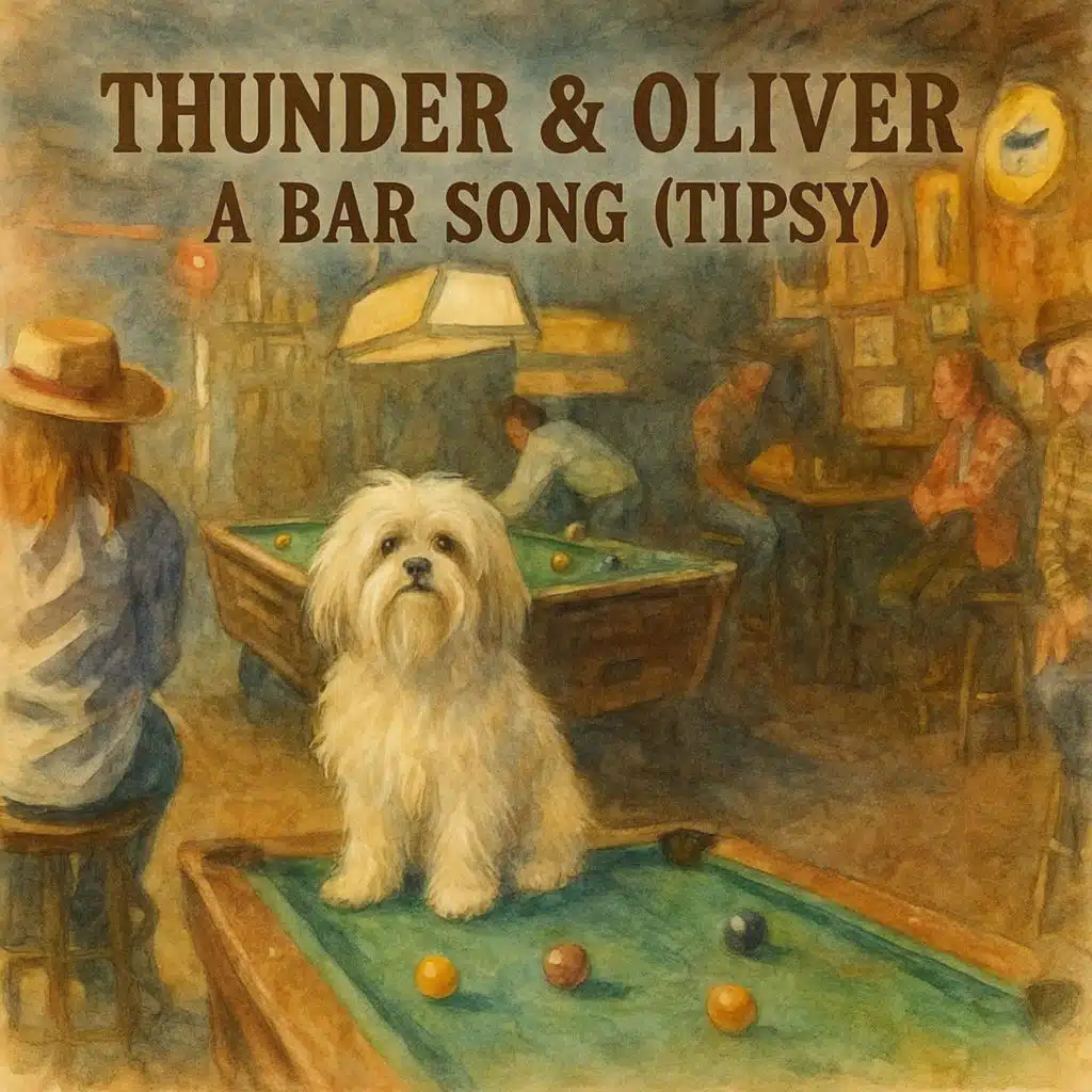 A Bar Song (Tipsy)
