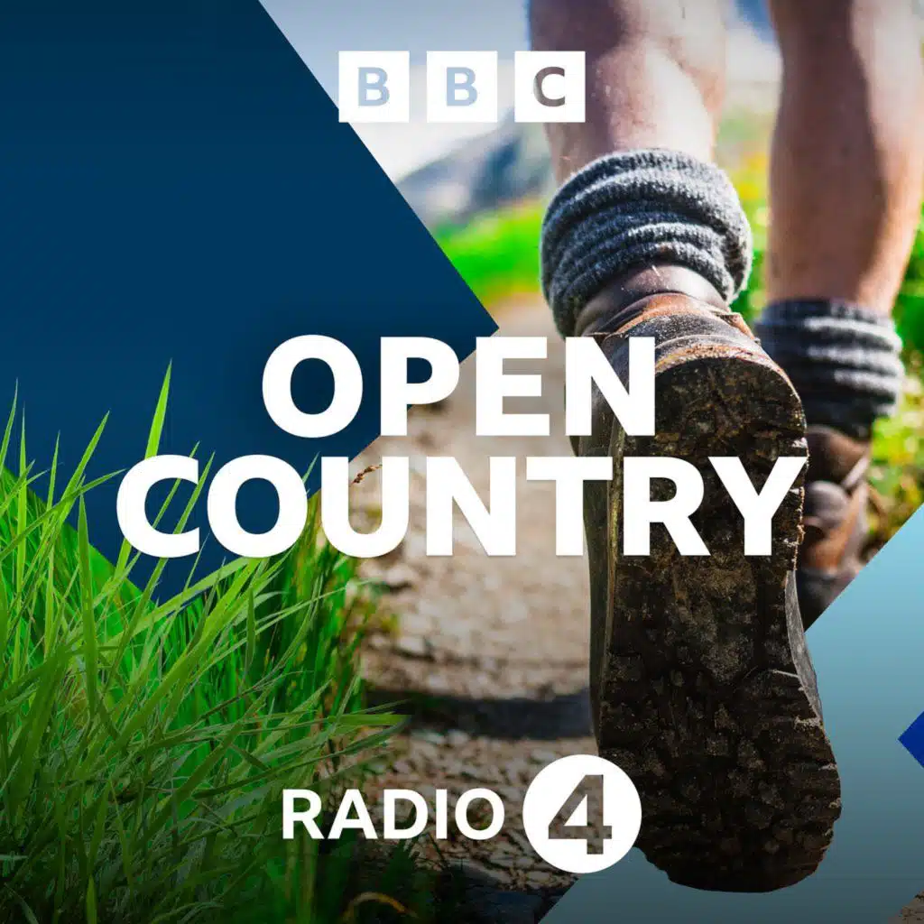 Pingos and Pool Frogs