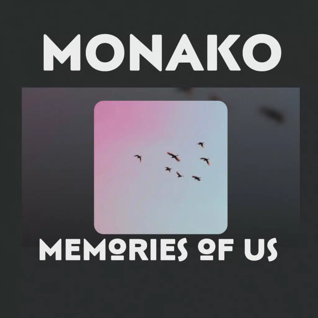MEMORIES OF US
