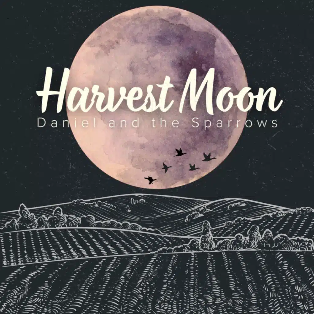 Daniel and the Sparrows