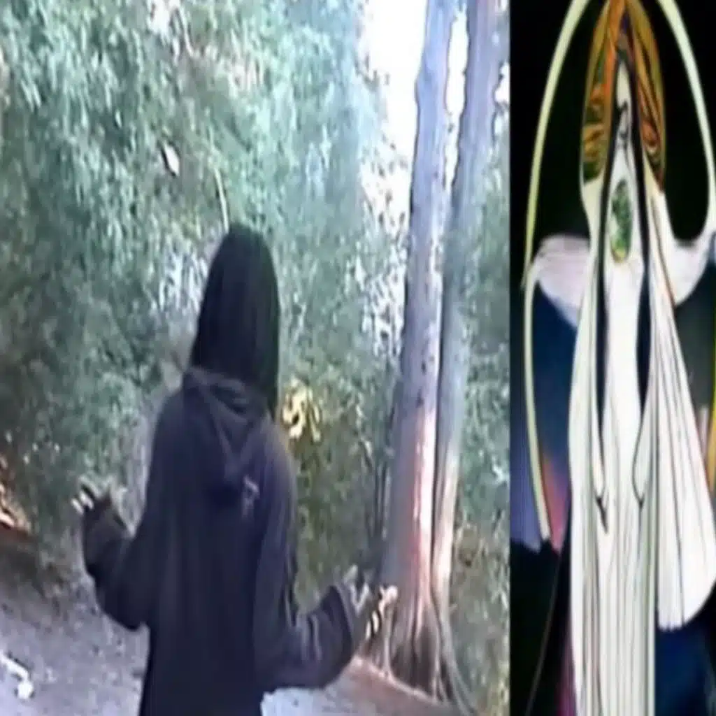 LUCI