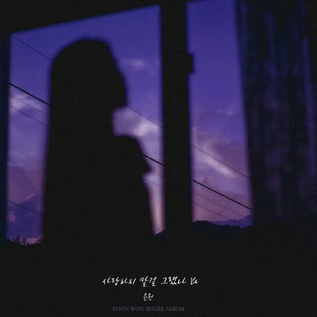 I Shouldn’t Have Loved You