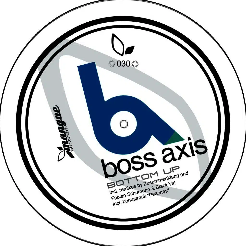 Bottom Up (Fabian Schumann & Black Vel Remix)