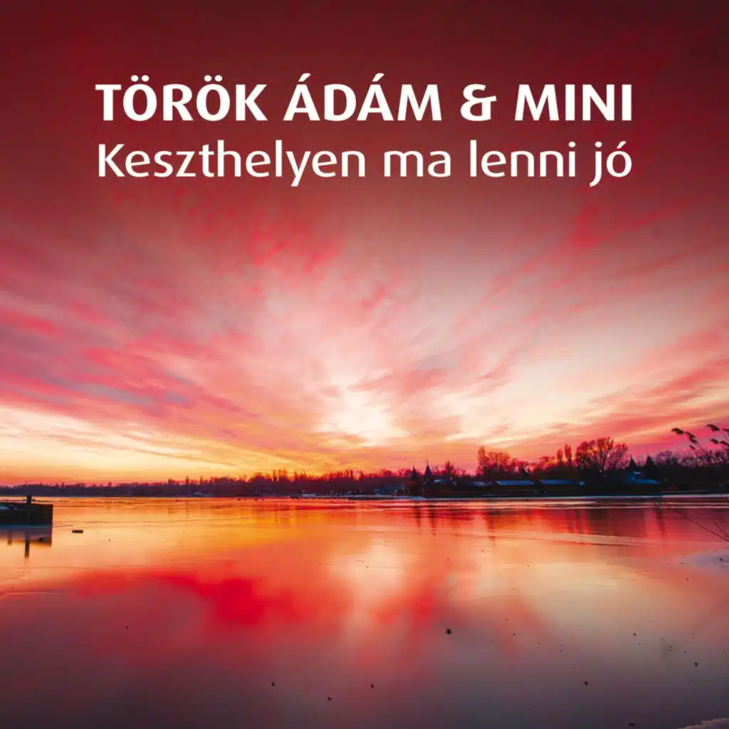 Török Ádám & Mini