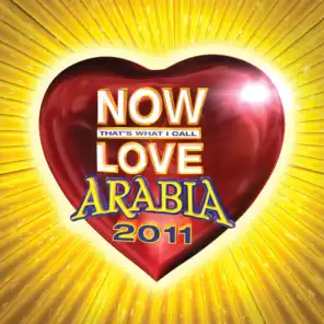 Now Love Arabia 2011