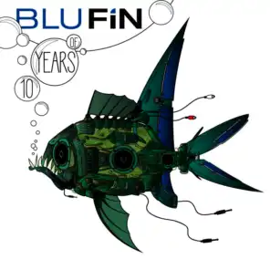 10 Years of Blufin